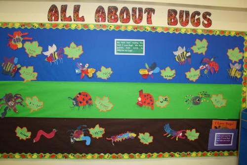 Displays - Primary School Library Guidelines